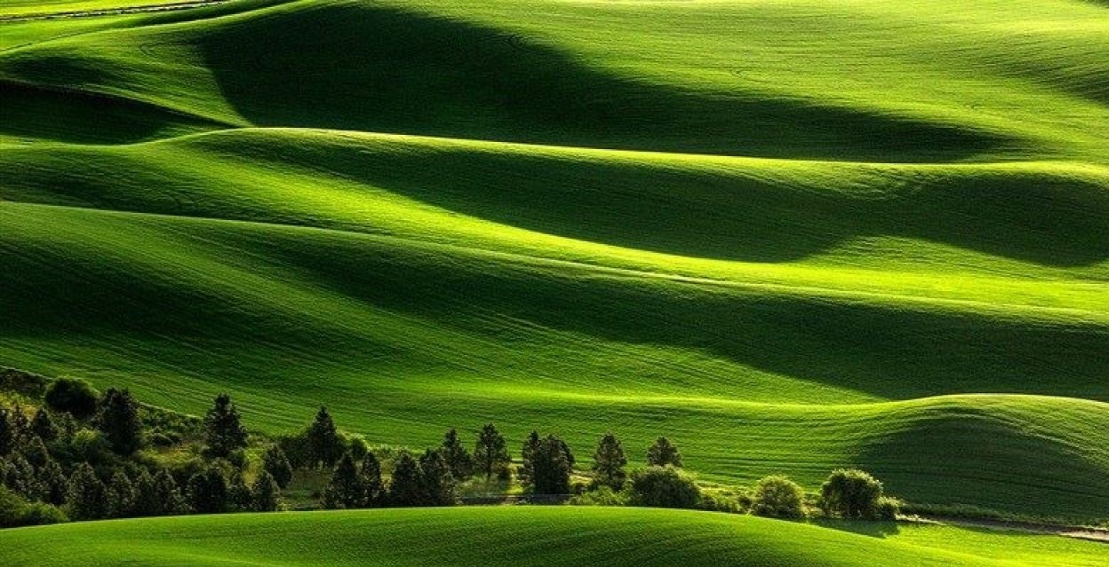 تصویر : http://up.gooddlimage.ir/view/3560843/21-Awesome-Field-Landscape-Background-1280x72003-1.jpg
